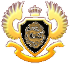 腾龙公司客服-咨询 Logo